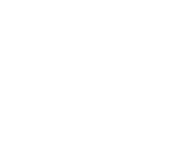 Pine Martin Media Agency